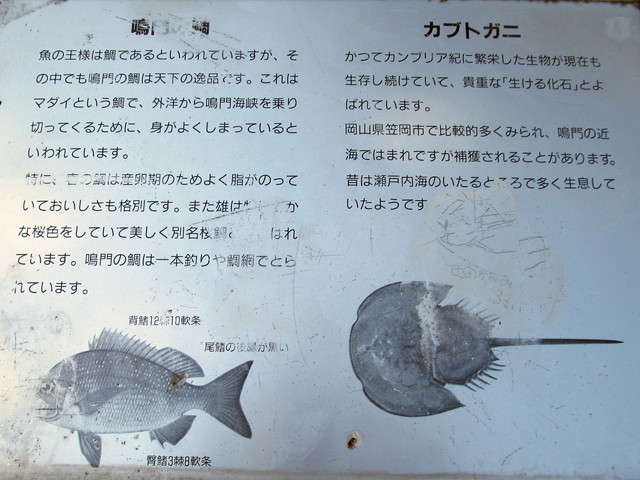 t01_022.jpg