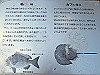 t01_022_thumb.jpg