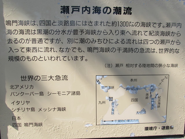t01_023.jpg