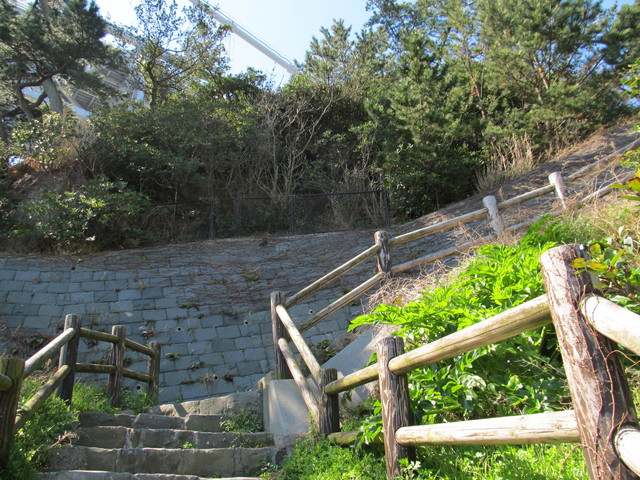 t01_027.jpg