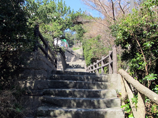 t01_030.jpg