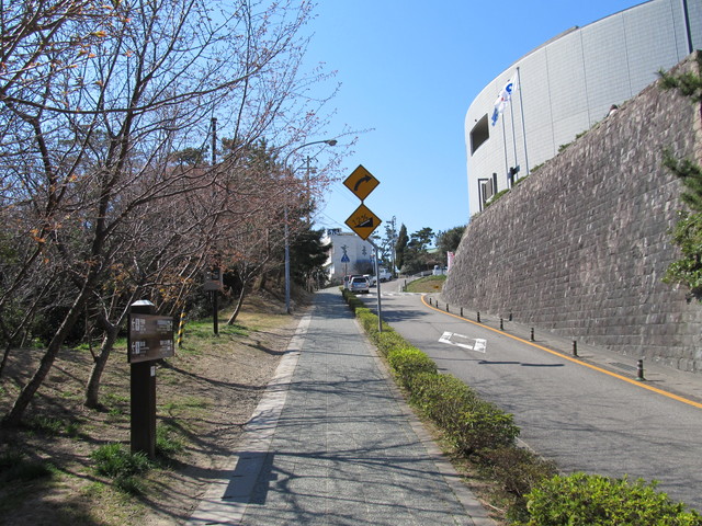 t01_038.jpg