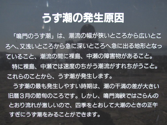 t01_043.jpg