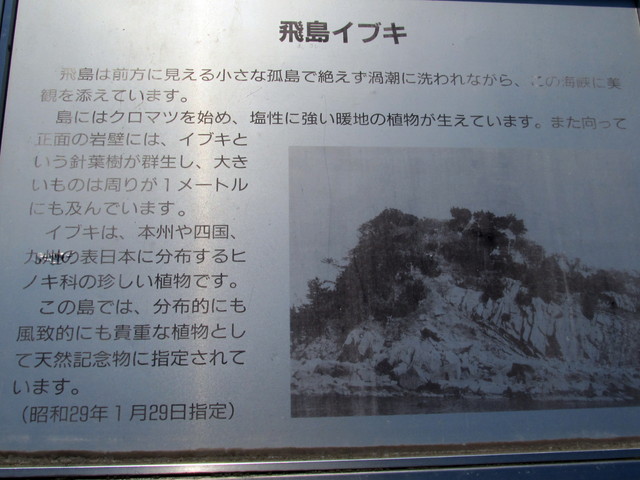 t01_047.jpg