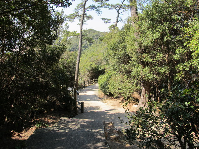 t01_050.jpg
