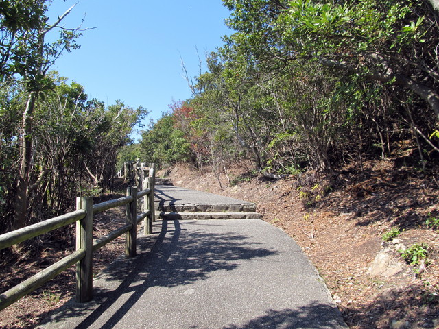 t01_054.jpg