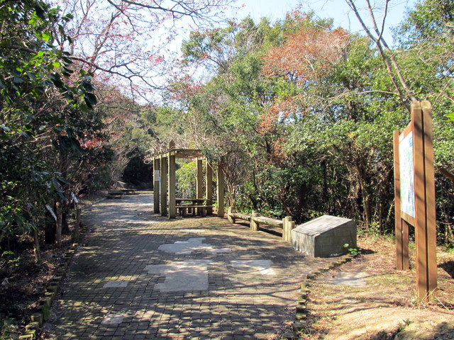 t01_055.jpg