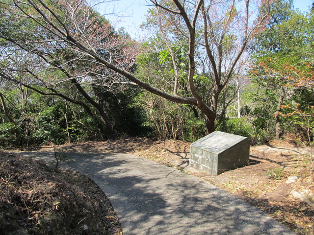 t01_058.jpg