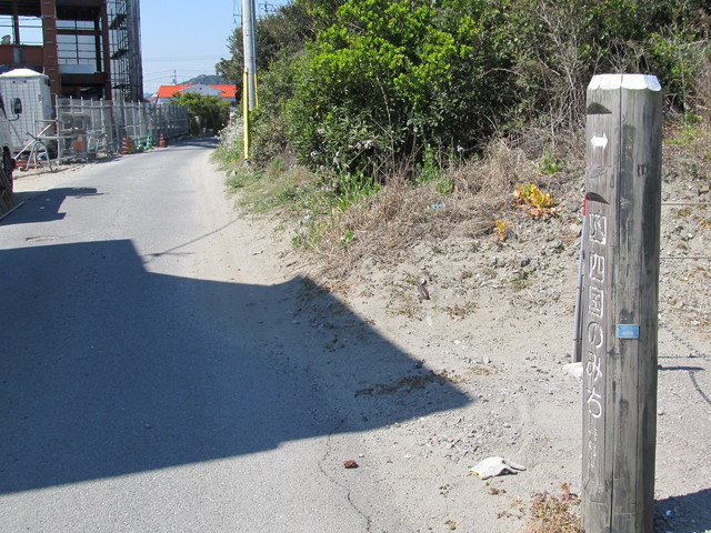t01_065.jpg