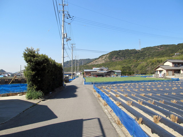 t01_068.jpg