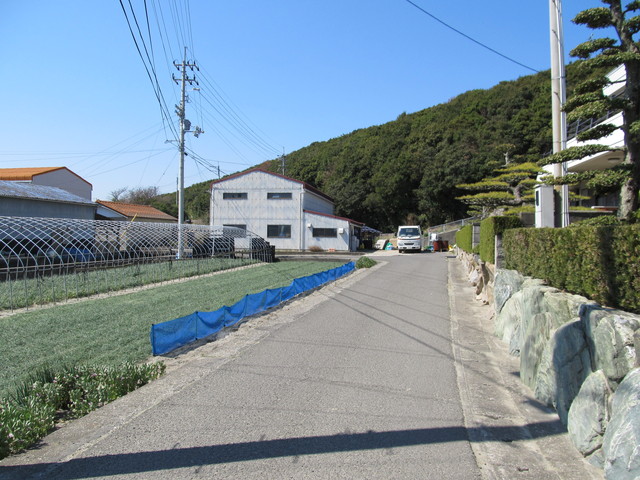 t01_071.jpg