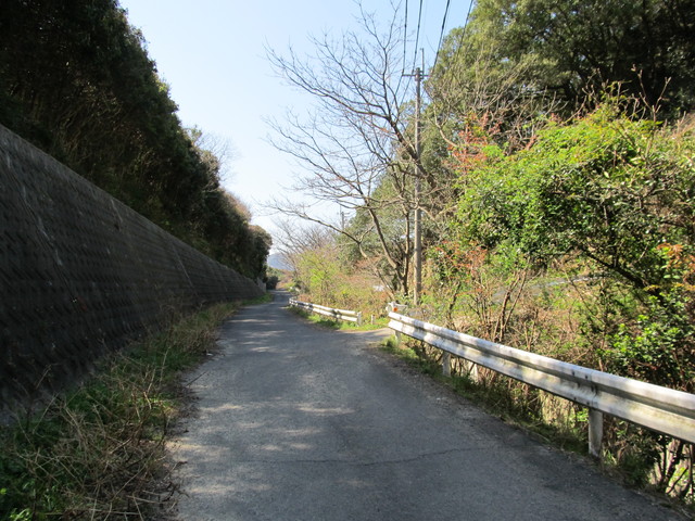 t01_074.jpg