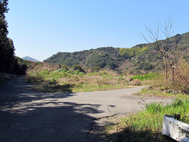 t01_075.jpg