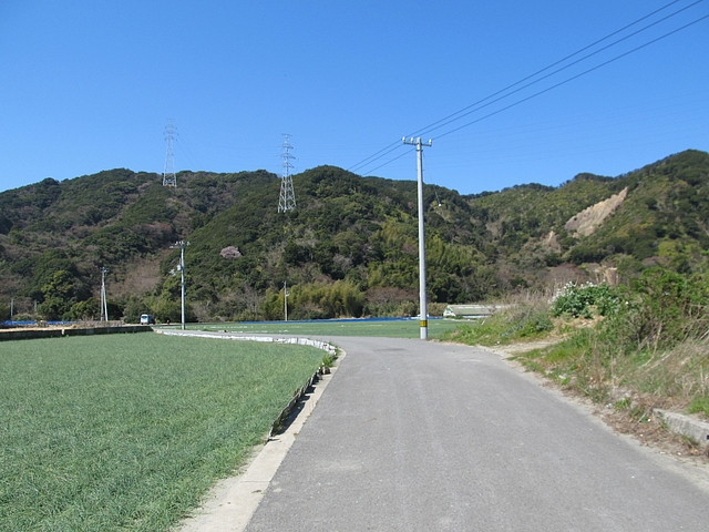 t01_077.jpg