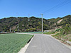 t01_077_thumb.jpg