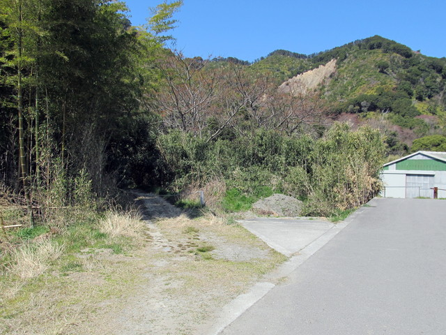 t01_079.jpg