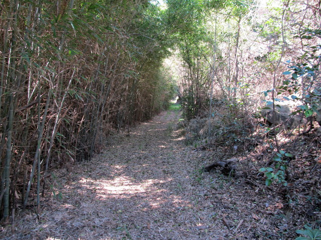 t01_081.jpg