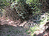 t01_082_thumb.jpg