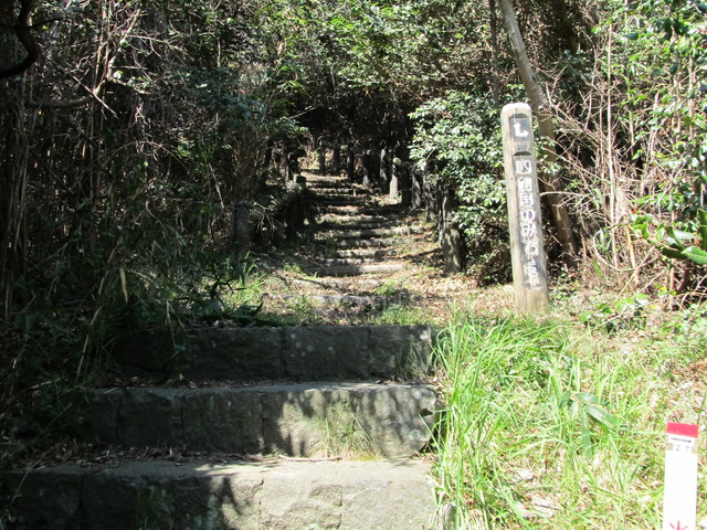 t01_083.jpg