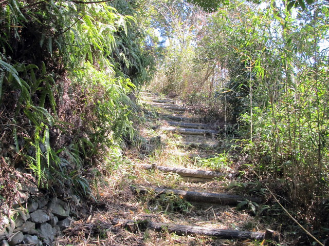t01_085.jpg