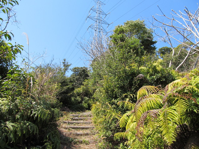 t01_088.jpg