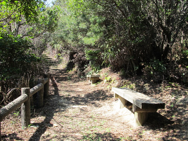 t01_090.jpg