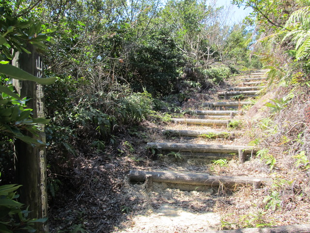 t01_091.jpg