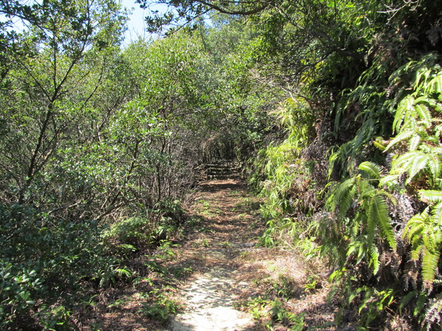 t01_092.jpg