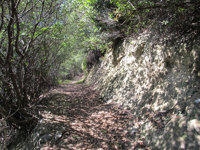 t01_094.jpg