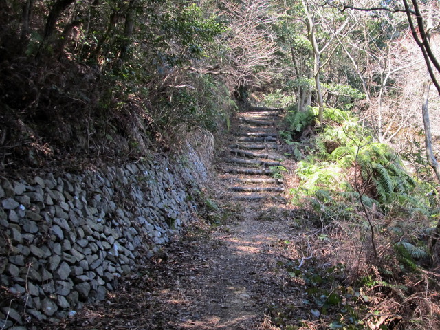 t01_097.jpg