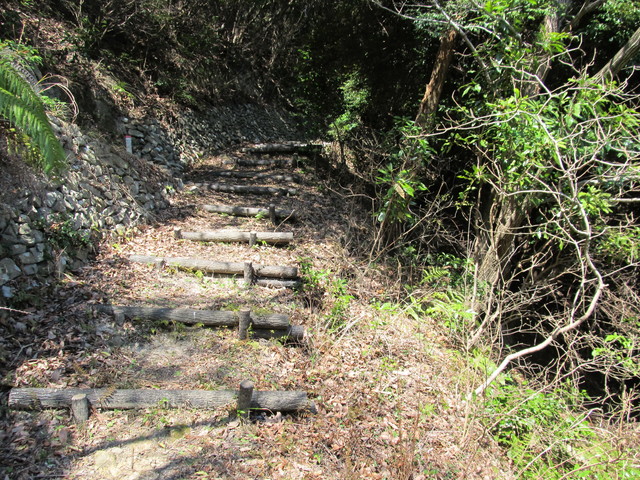 t01_098.jpg
