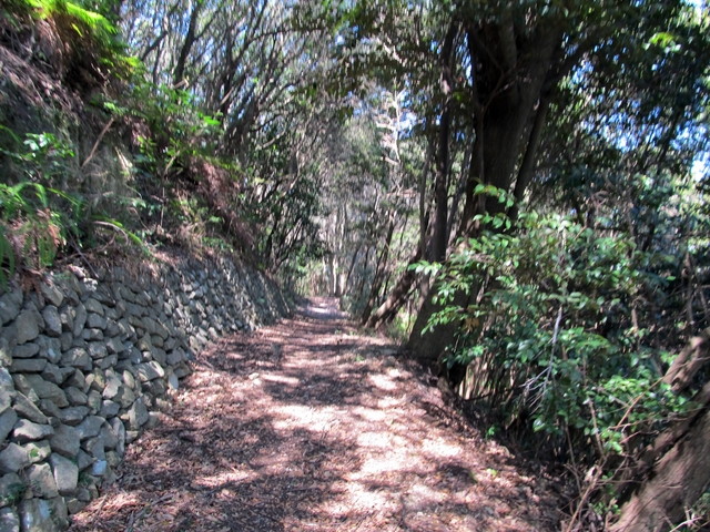 t01_099.jpg