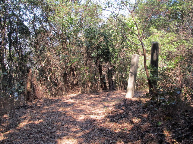 t01_101.jpg