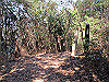 t01_101_thumb.jpg