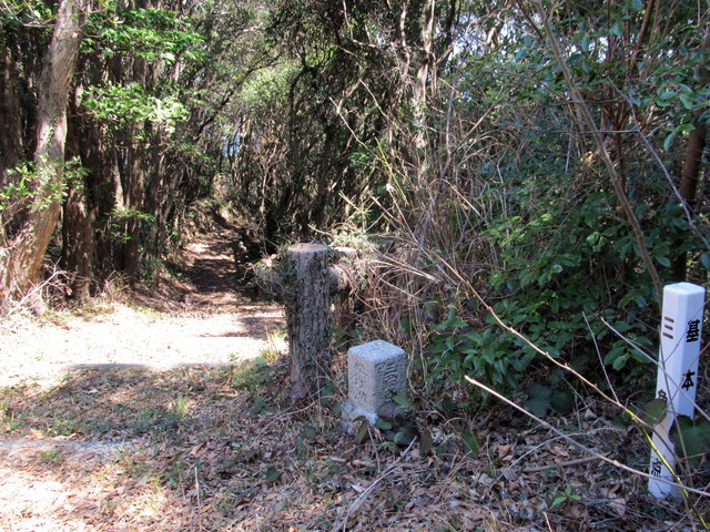 t01_103.jpg