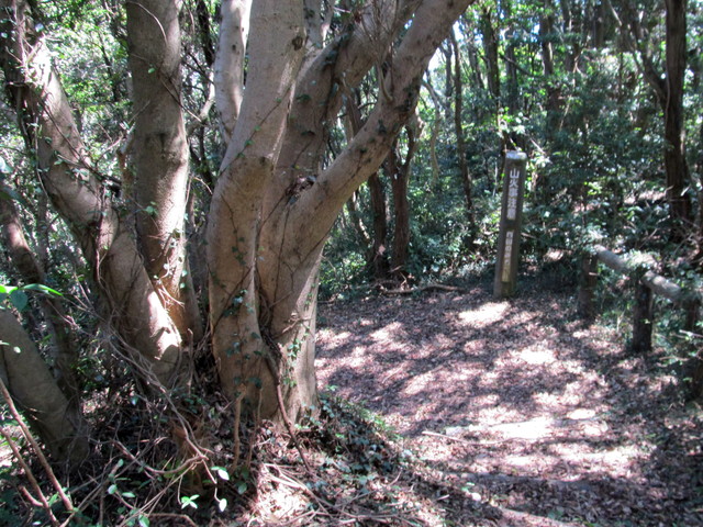 t01_105.jpg