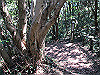 t01_105_thumb.jpg