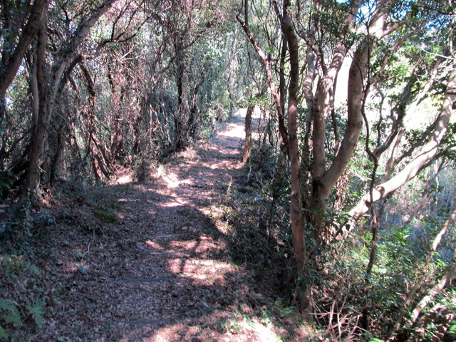 t01_106.jpg