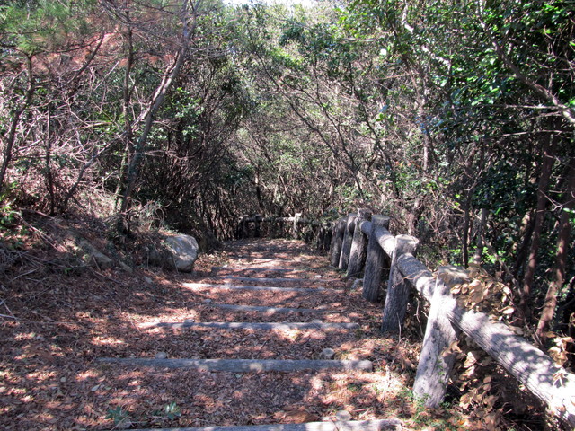 t01_109.jpg