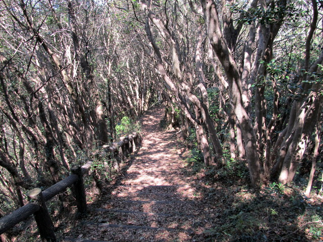 t01_110.jpg