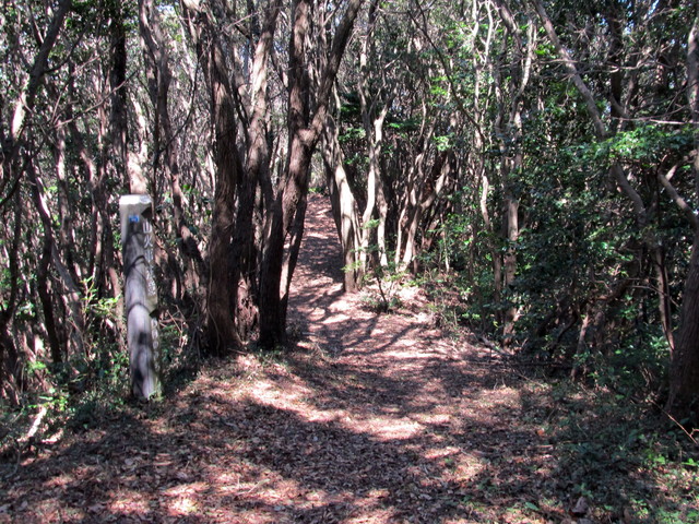 t01_111.jpg