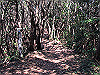 t01_111_thumb.jpg