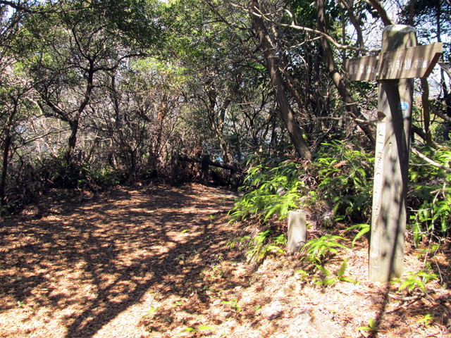 t01_112.jpg