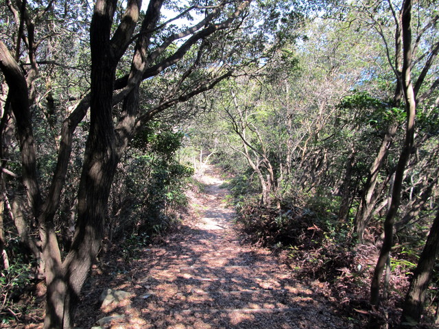 t01_114.jpg