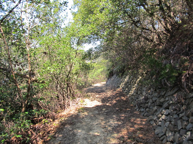 t01_115.jpg