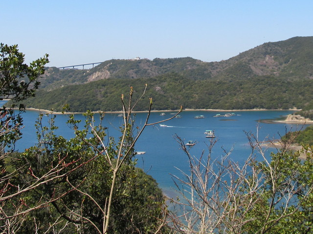 t01_116.jpg