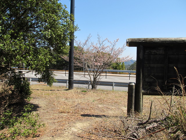 t01_117.jpg