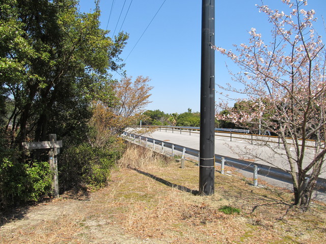 t01_119.jpg