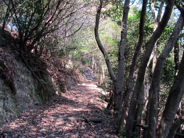 t01_129.jpg