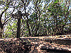 t01_130_thumb.jpg